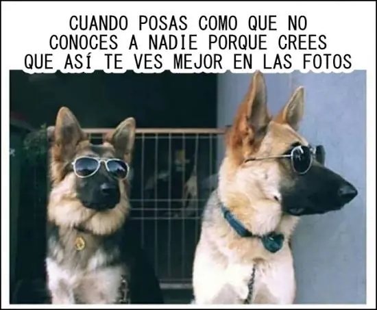 Humor de Viernes