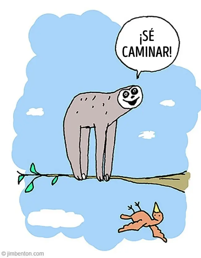 fotos