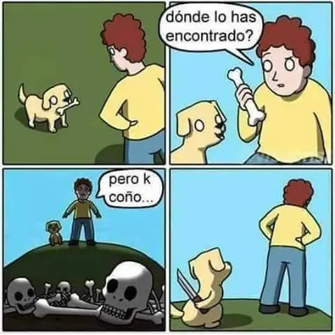 fotos