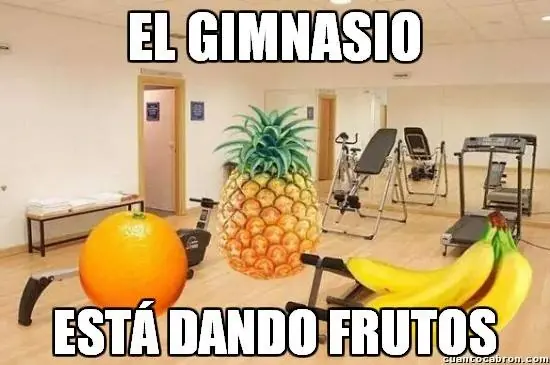 imagenes divertidas