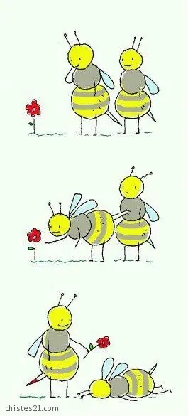 internet