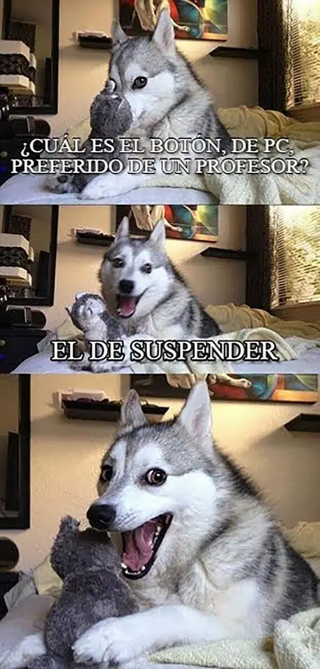 imagenes divertidas