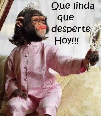 fotos graciosas