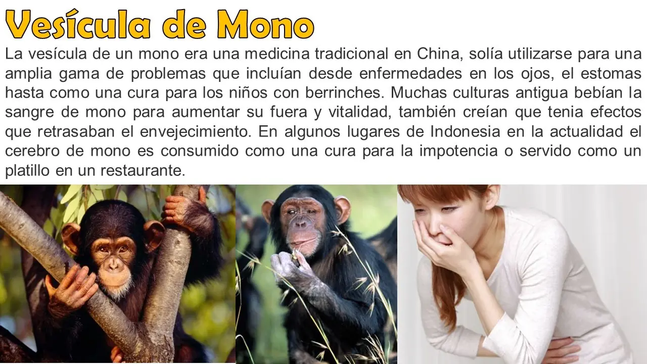 datos