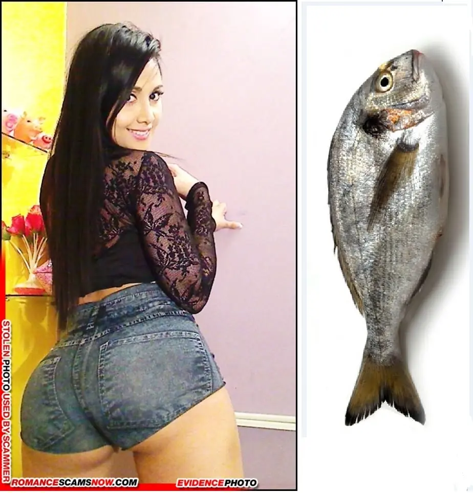 ¿En que se parecen?