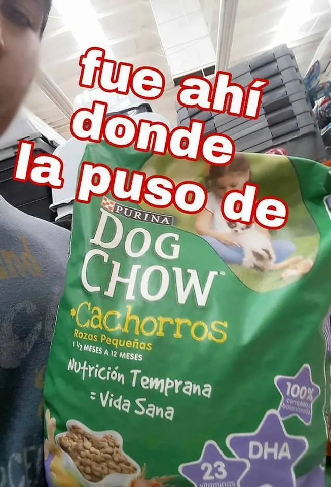 don Julio