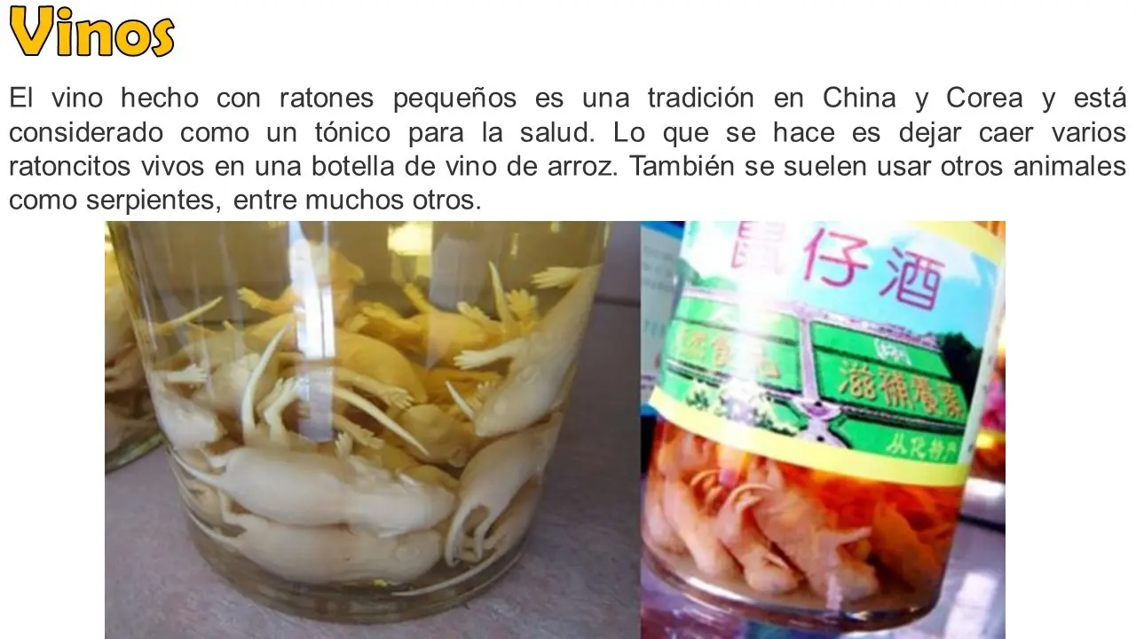 20 Datos Curiosos para Curioseadores curiosos #14