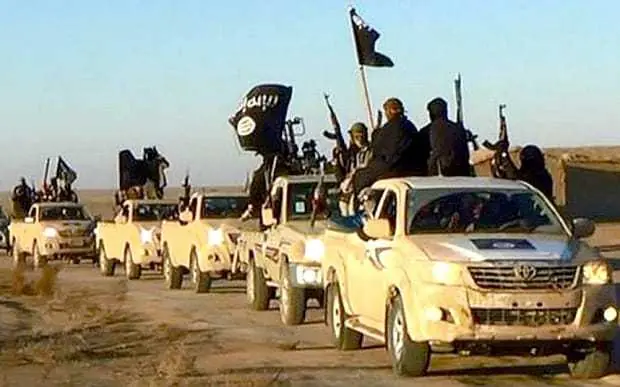 isis isis