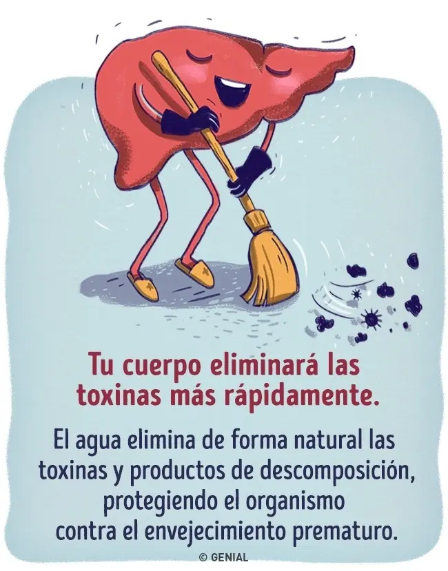Qué pasaría si sustituyéramos todas las bebidas por agua