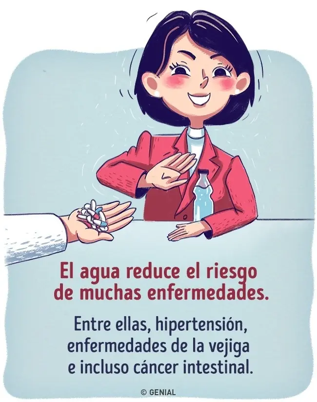 bebidas