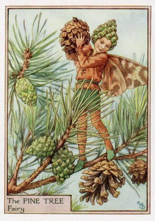 alguna