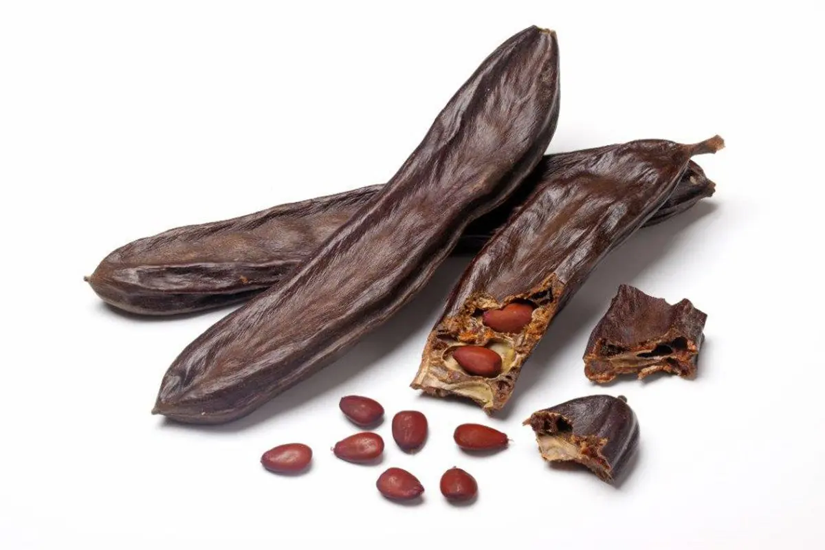 algarroba algarroba