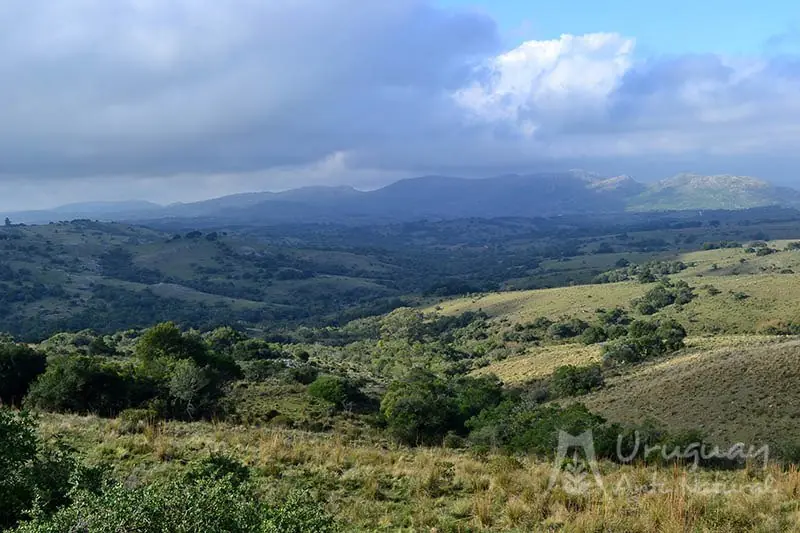 cerros