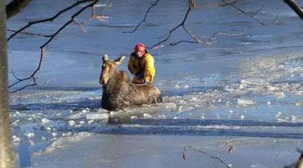 hielo