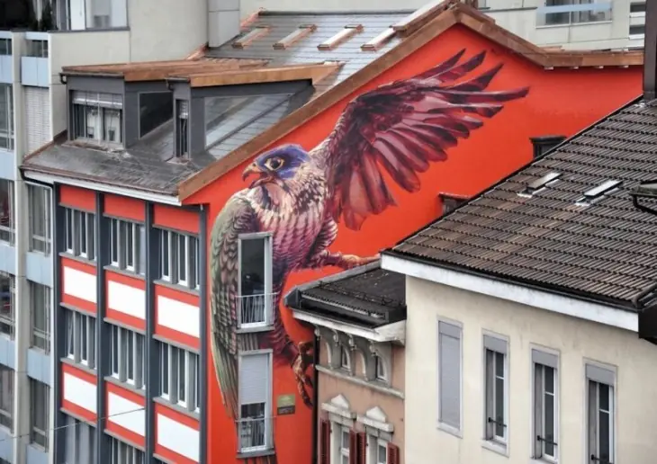 grafitis