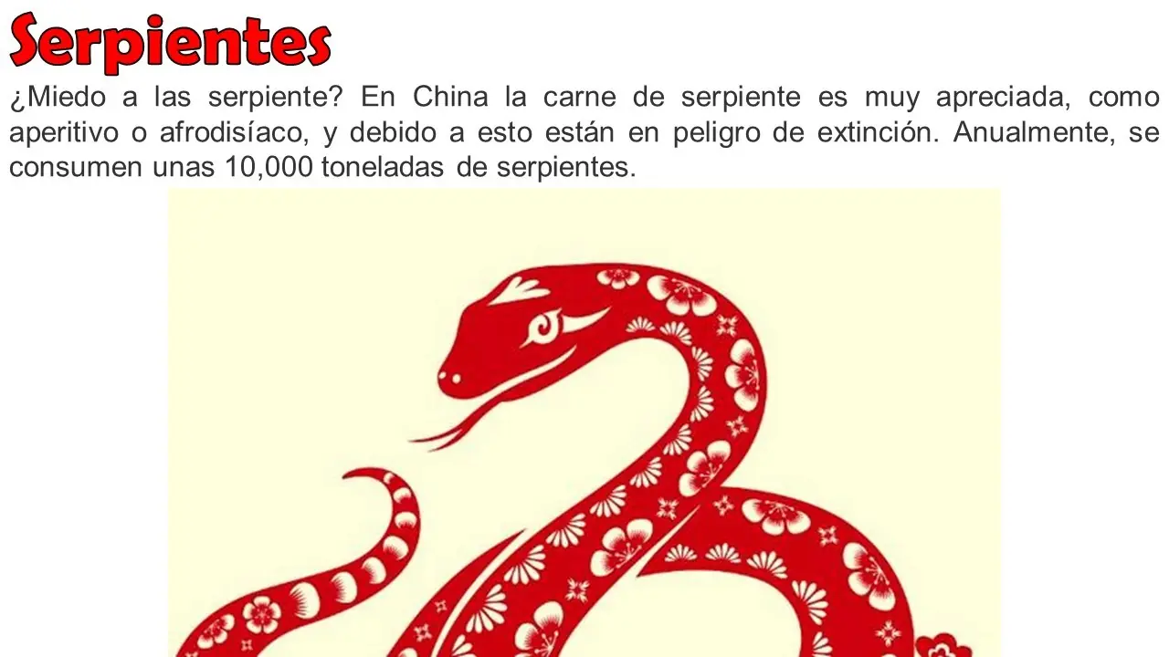 20 Datos Curiosos para Curioseadores curiosos #14