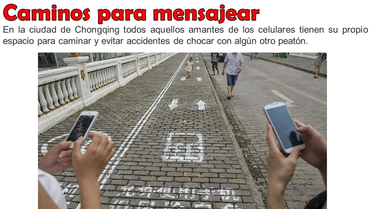 20 Datos Curiosos para Curioseadores curiosos #14