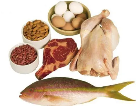 carbohidratos