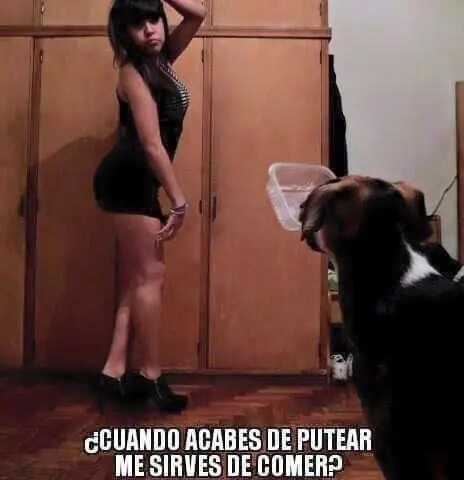 reite
