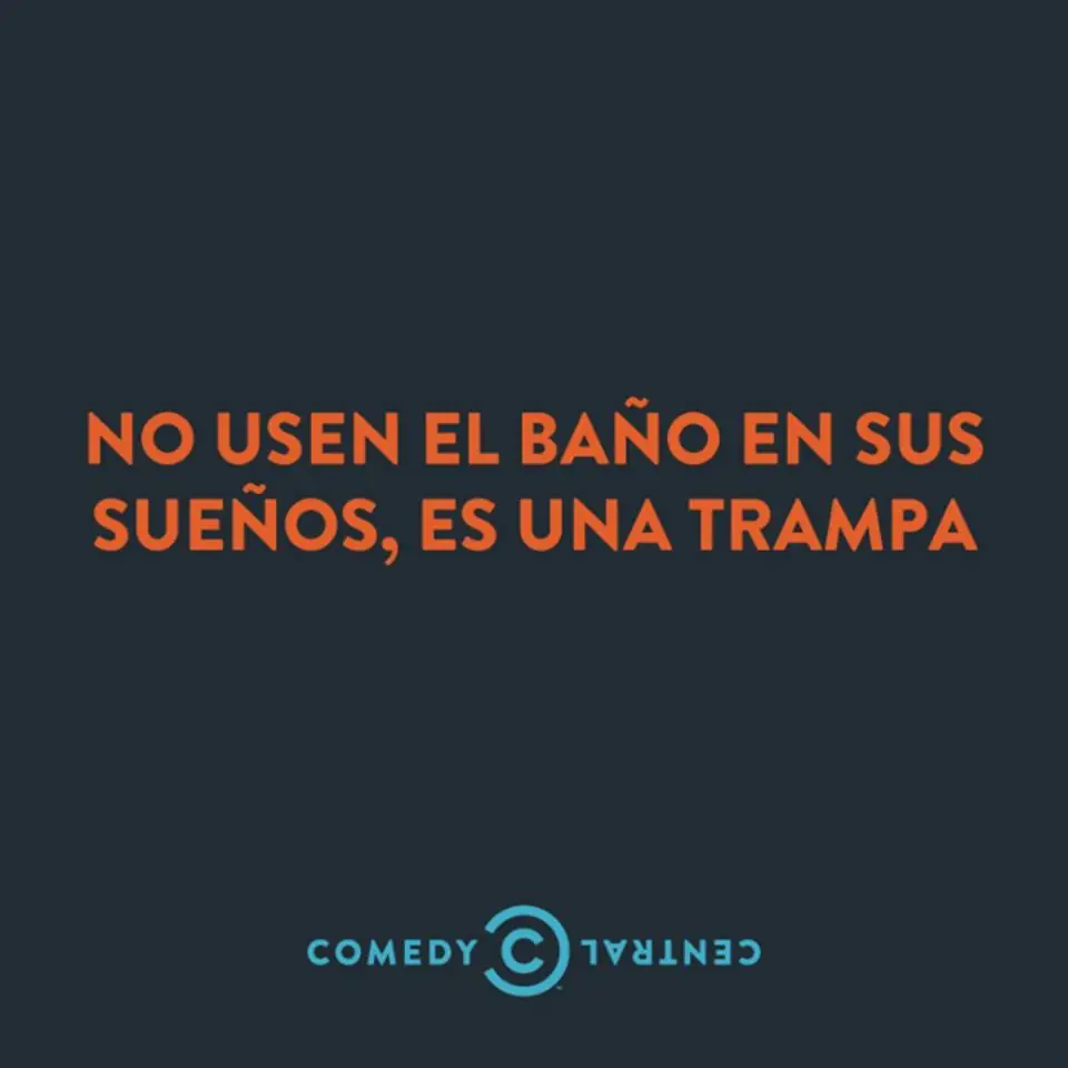 reite