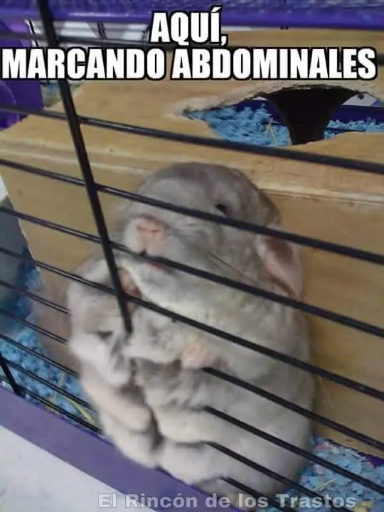 fotos
