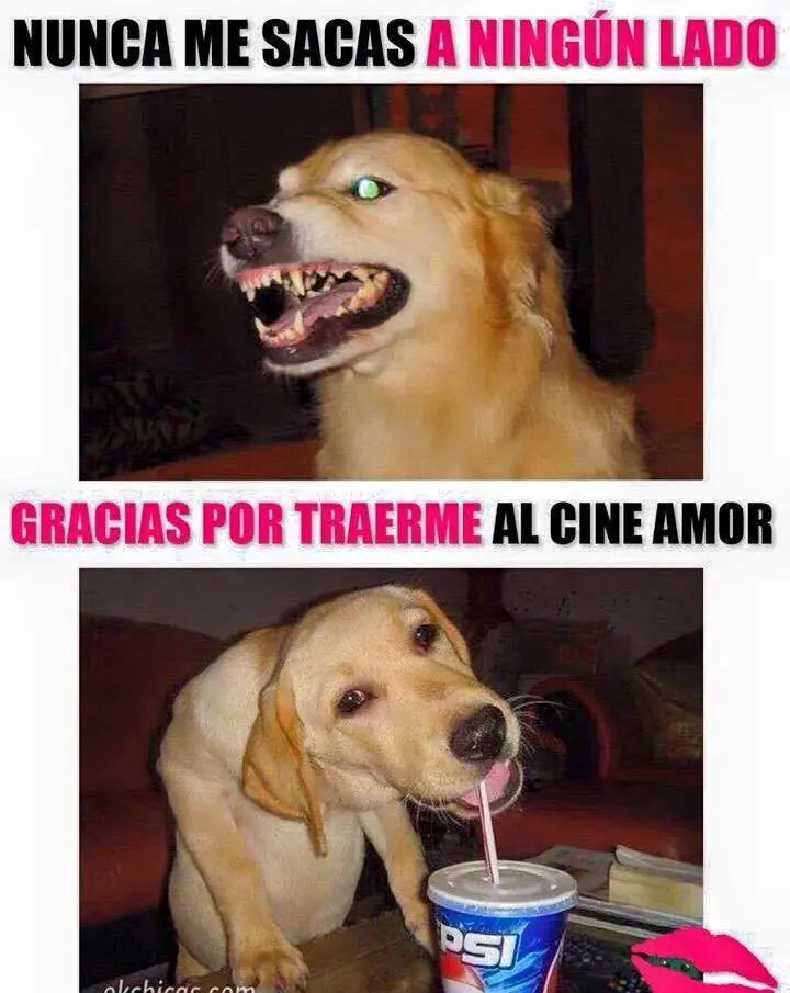 serenata777