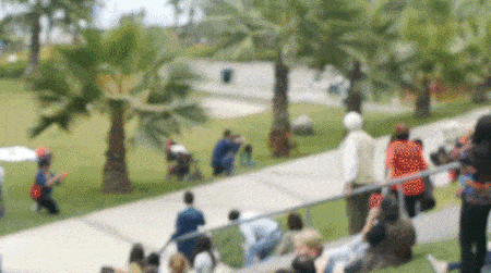 Gifs