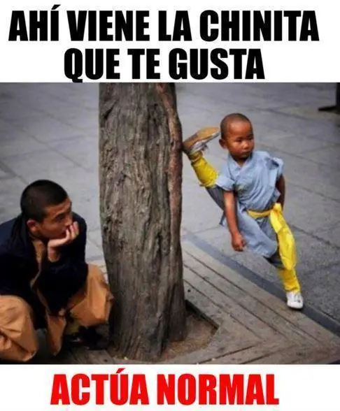 maquinola