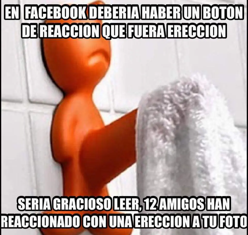 reite
