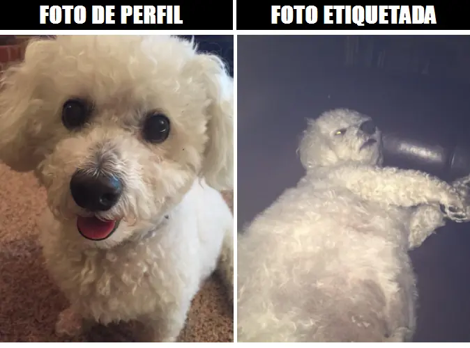 imagenes