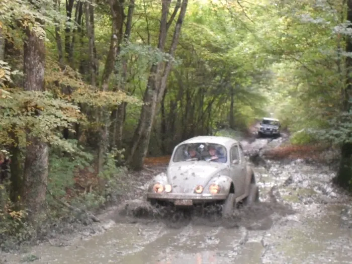VW