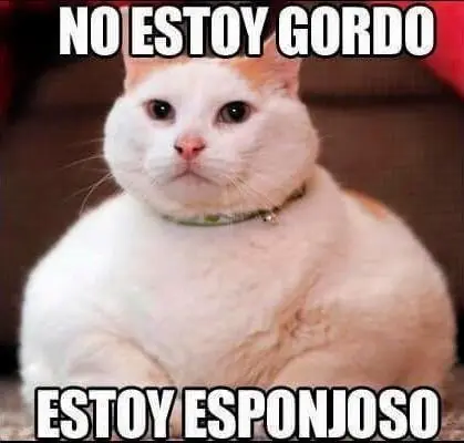 conestas