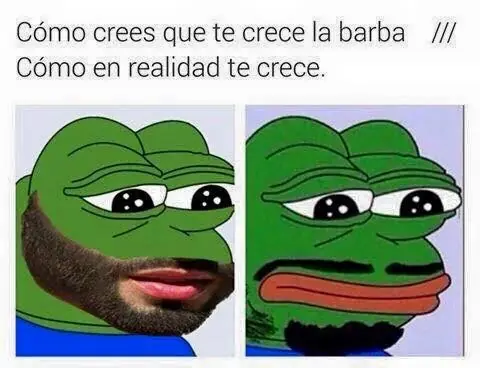 memes
