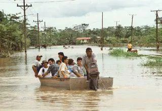 fernandez