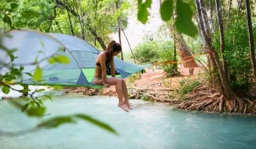 carpas