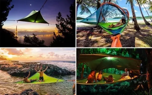 carpas