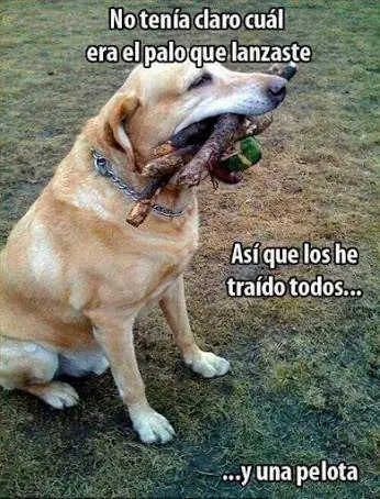 Imagenes de Humor Maquinola