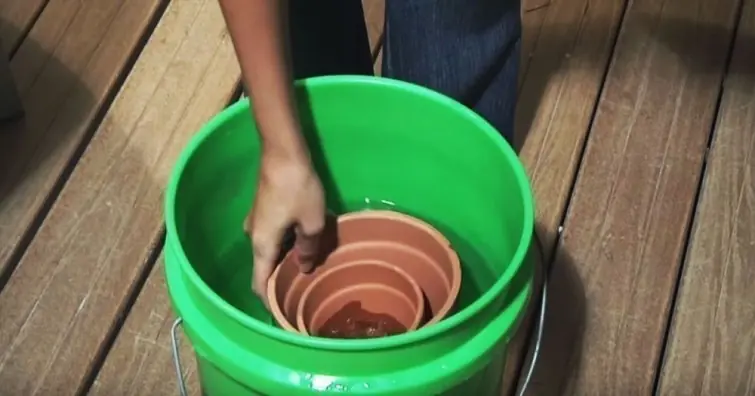 terracota