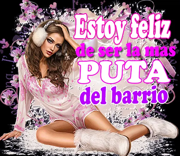 humor memes