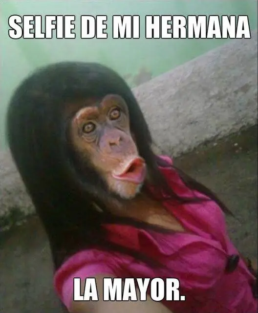 humor megapost