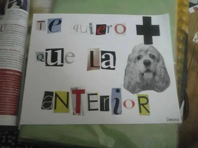 Imagenes de humor papa