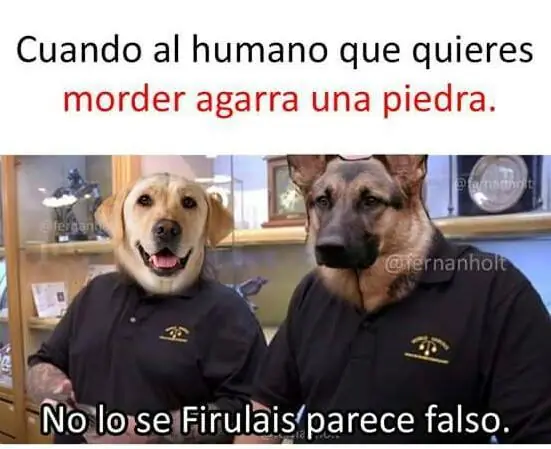 memes