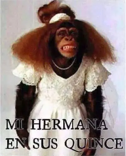 dormir