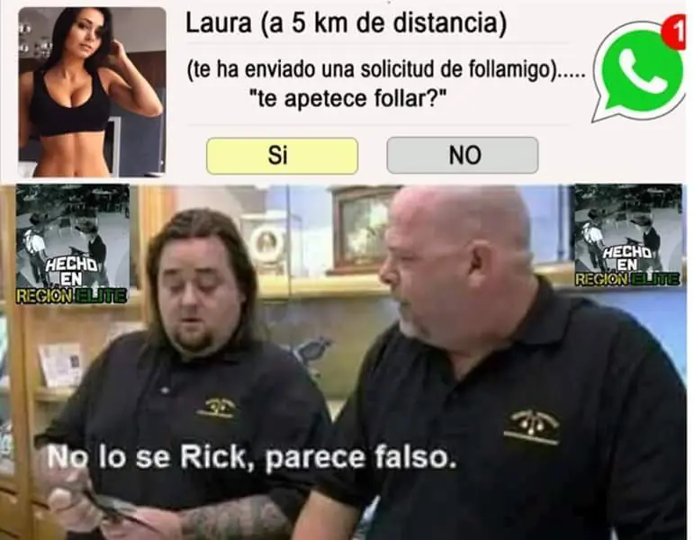 humor memes