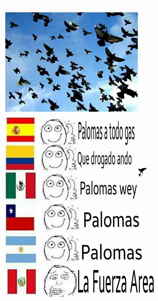 gracioso