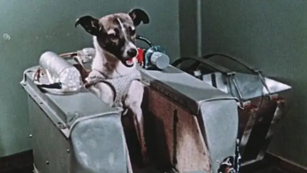 Sputnik