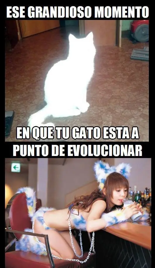 memes