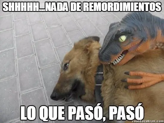 memes