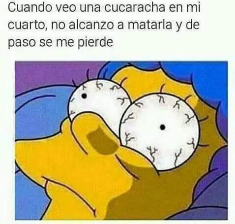 humor para desvelados