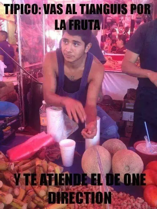 perros